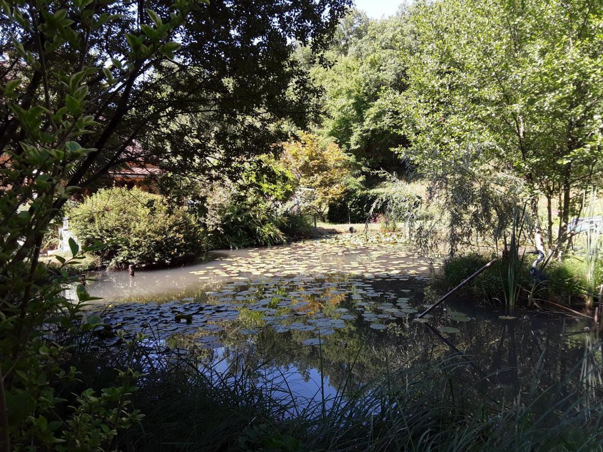 Tursac Le Chalet De La Grenouille Verte מראה חיצוני תמונה
