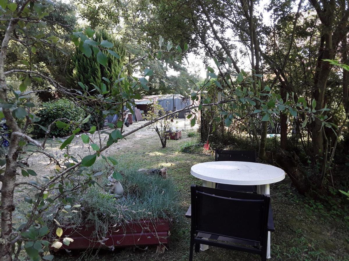 Tursac Le Chalet De La Grenouille Verte מראה חיצוני תמונה