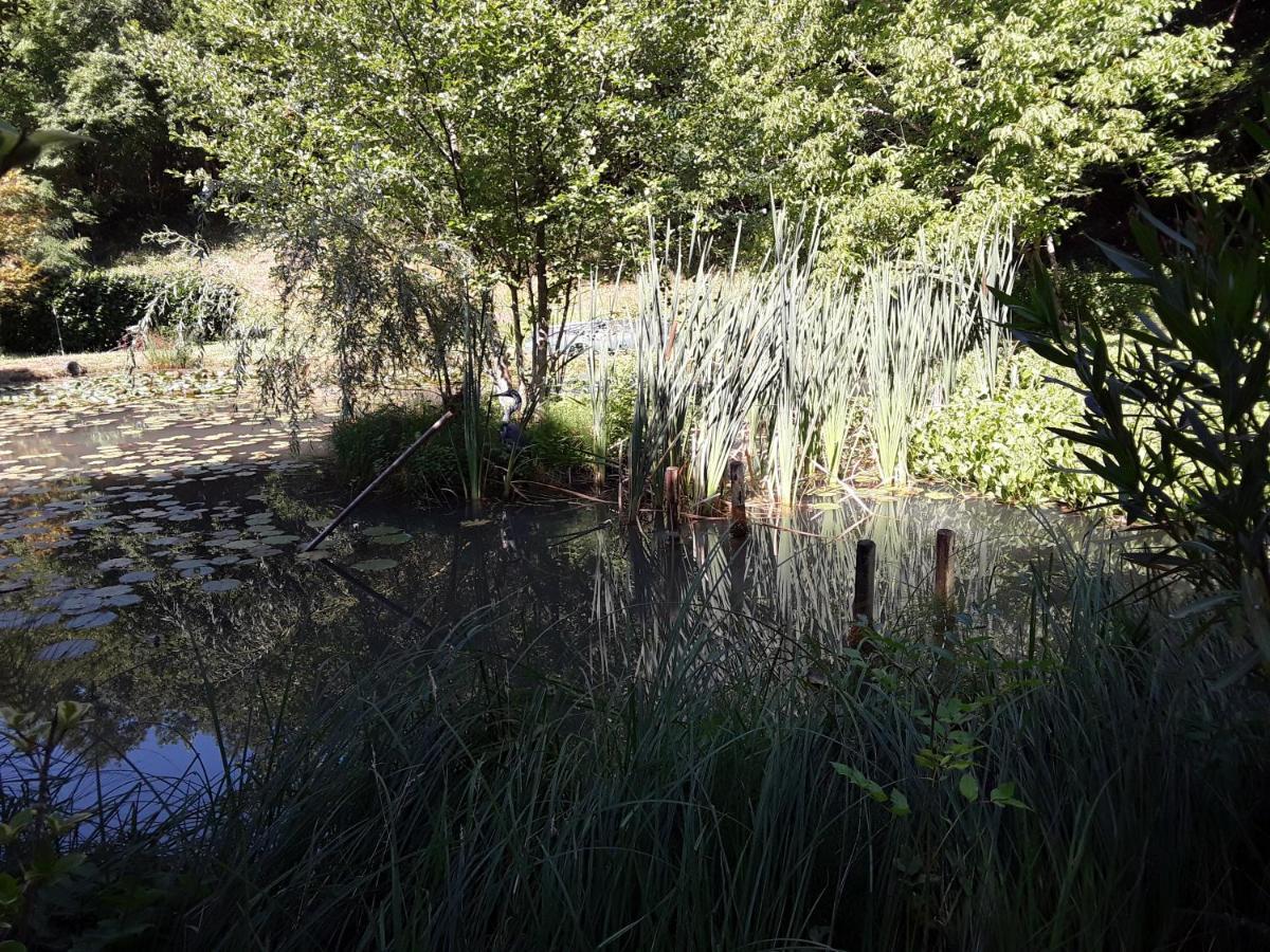 Tursac Le Chalet De La Grenouille Verte מראה חיצוני תמונה